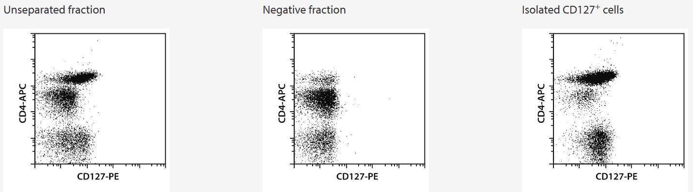 CD127+ cells were isolated from human PBMCs using the CD127 MicroBead Kit, an MS Column, and a MiniMACS Separator. Cells were fluorescently stained with CD4 (VIT4)-FITC and CD127-PE and analyzed by using the MACSQuant Analyzer.